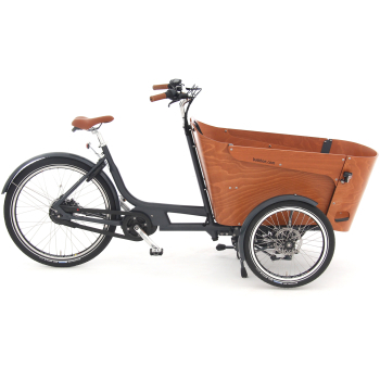 2023 Carve Mountain Electric Cargo Trike With 500Wh Battery
