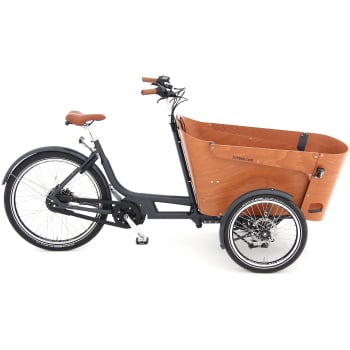 2023 Flow Mountain Electric Cargo Trike With 500Wh Battery